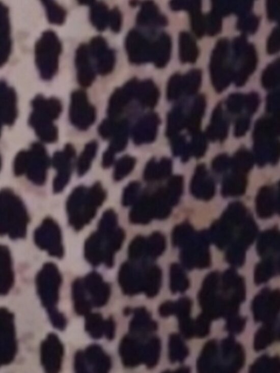 None Dresses & Skirts - × Leopard Print Short Sleeve Bodycon Dress - Beige and Black Women's Size Large